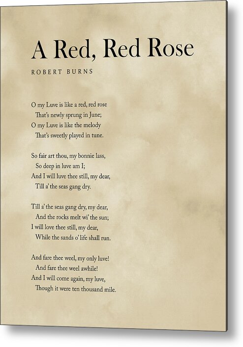 A Red Metal Print featuring the digital art A Red, Red Rose - Robert Burns Poem - Literature - Typewriter Print 2 - Vintage by Studio Grafiikka