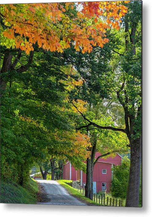 Amish Metal Print featuring the photograph Amish Country Road by Roberta Kayne
