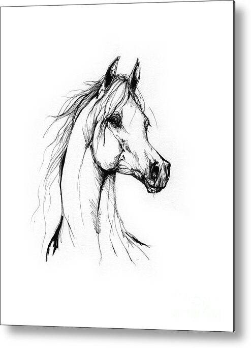Horse Metal Print featuring the drawing Arabian Horse Drawing 38 by Ang El