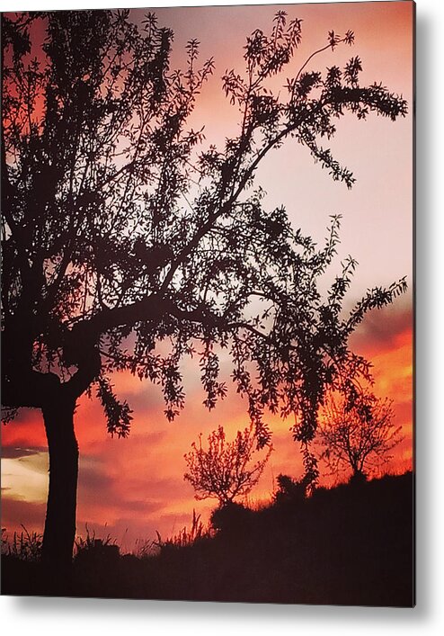 Colette Metal Print featuring the photograph Beautiful evening in Spain by Colette V Hera Guggenheim