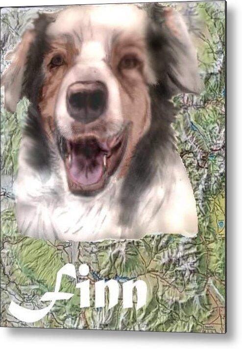Pencil Sketch Enhanced With Computer And Background Australian Shepard Metal Print featuring the mixed media Beautiful Finn by Pamela Calhoun