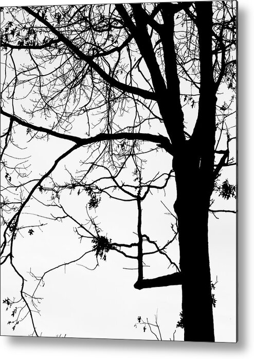 Tree Metal Print featuring the photograph Bent Elbow Sihouette by Cate Franklyn