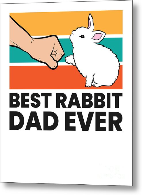 Best Rabbit Dad Ever Funny Rabbit Father Rabbit Bunny Metal Print by EQ  Designs - Pixels