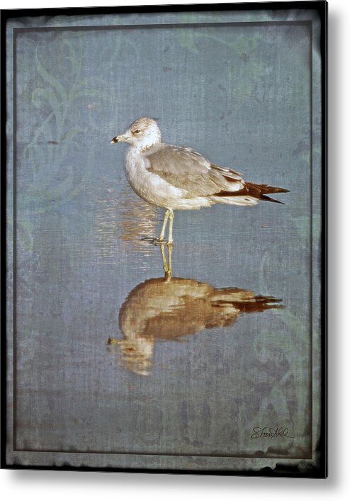 Fine Art Metal Print featuring the photograph Bird Reflection by Shara Abel