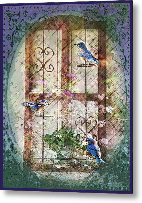Photography Metal Print featuring the photograph Birds in the Kitchen by Shara Abel