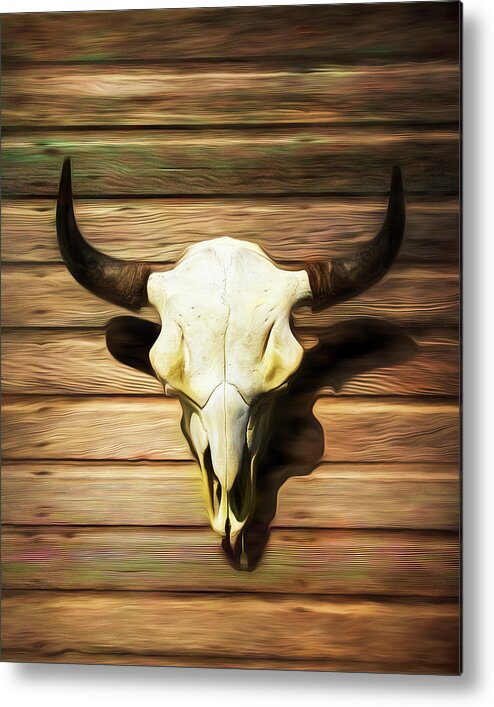Kansas Metal Print featuring the photograph Bison Skull 009 by Rob Graham