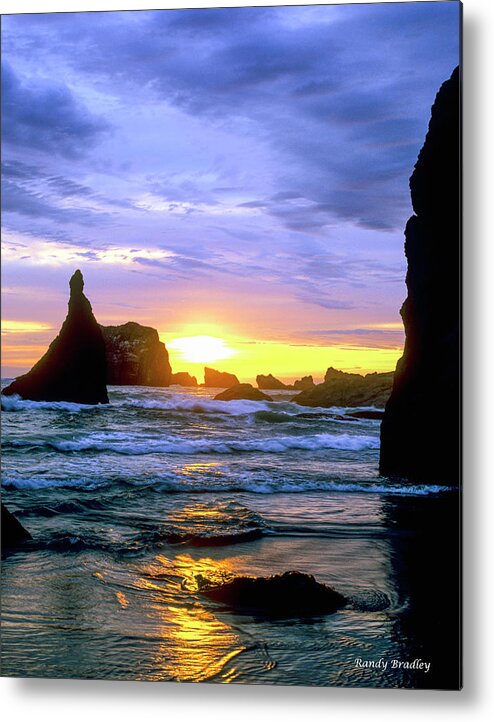 West Coast Metal Print featuring the photograph Blue and Gold Vertical by Randy Bradley