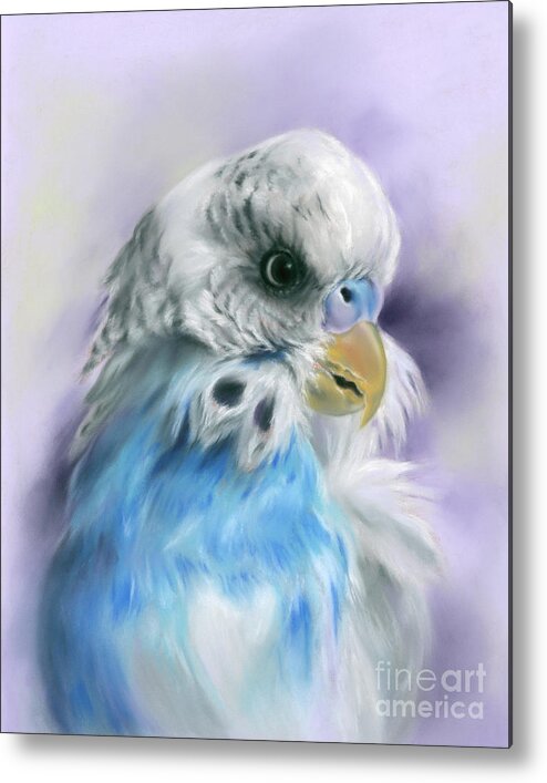 Bird Metal Print featuring the painting Blue Parakeet Bird Portrait by MM Anderson