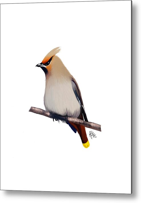 Birds Metal Print featuring the digital art Bohemian Waxwing by Rebecca Eberts