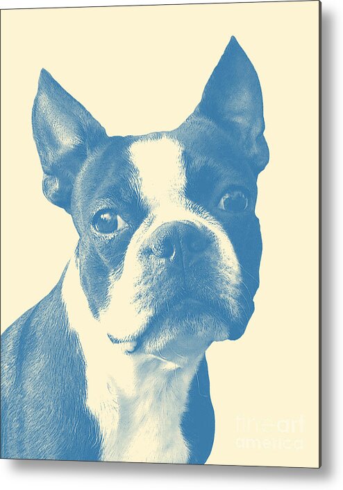 Boston Terrier Metal Print featuring the digital art Boston Terrier Portrait In Blue by Madame Memento