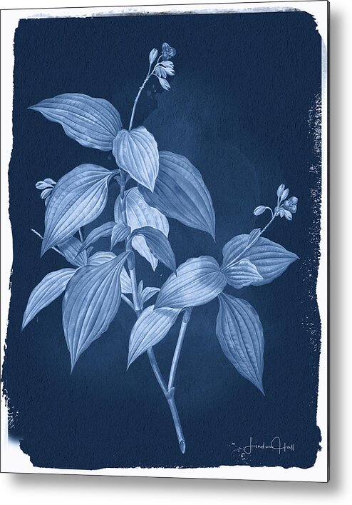 Digital Metal Print featuring the digital art Botanical Cyanotype Series No. One by Linda Lee Hall