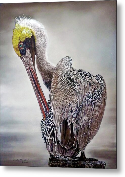 Pelican Metal Print featuring the painting Brown Pelican by Linda Becker