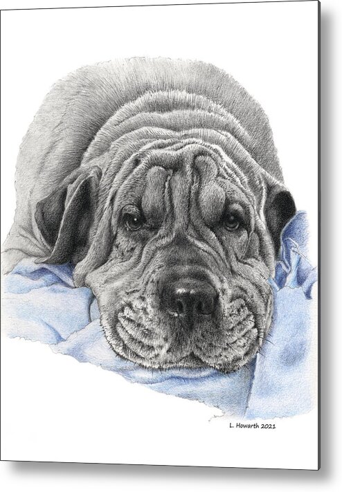 Dog Metal Print featuring the drawing Bubba by Louise Howarth