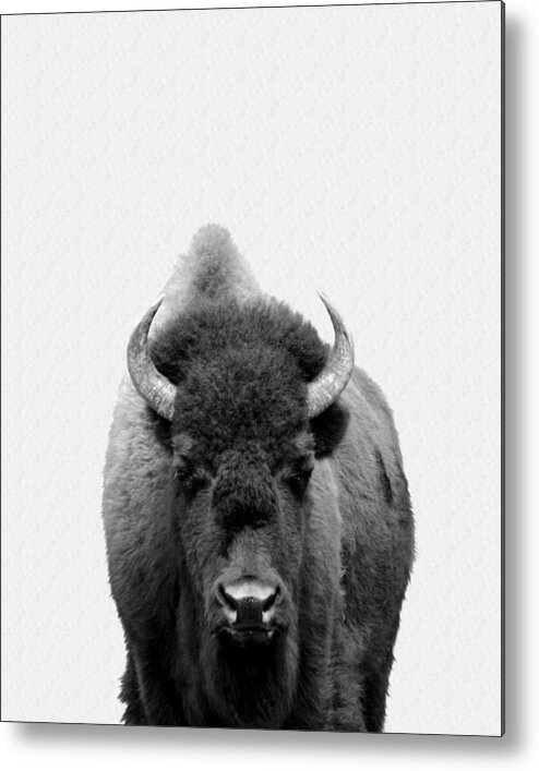 Buffalo Metal Print featuring the photograph Buffalo Photo 135 black and white by Lucie Dumas