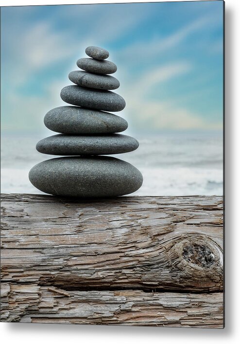 Zen Metal Print featuring the photograph Bumps on a Log by Stephen Stookey