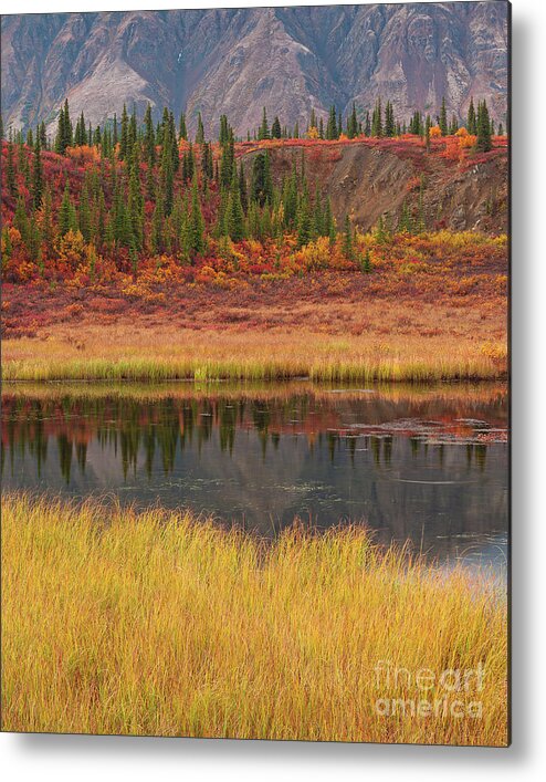 Pond Metal Print featuring the photograph Cantwell Fall Color pond by Mark Graf