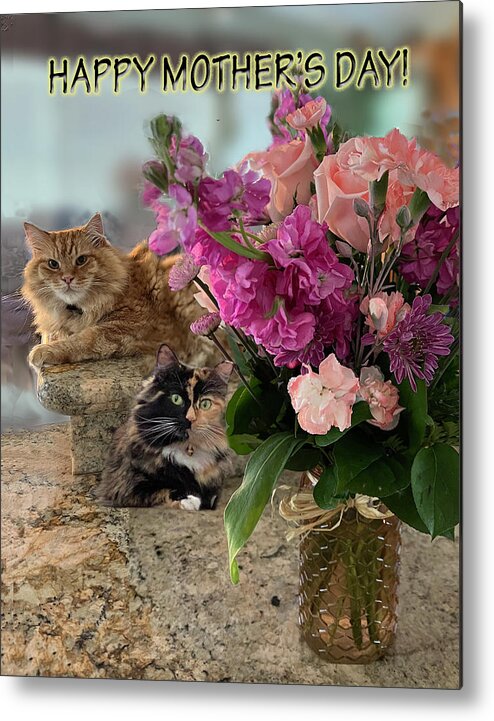 Cats Metal Print featuring the photograph Cats and Flowers for Mothers Day by Karen Zuk Rosenblatt