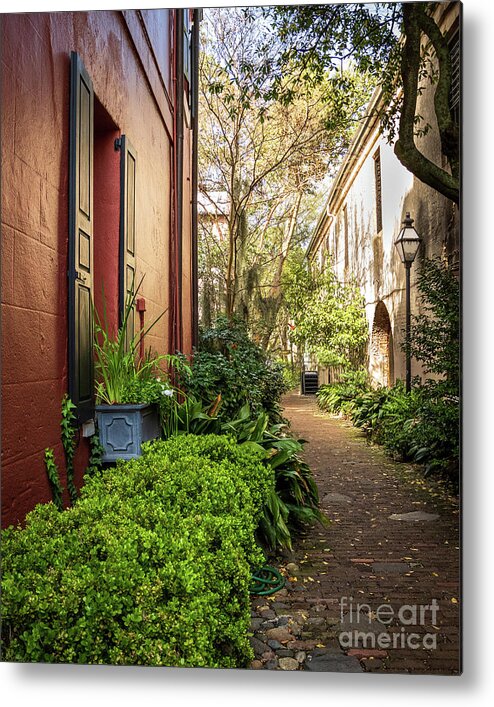 Charleston Metal Print featuring the photograph Charleston Garden Walkway - View 5 by Sturgeon Photography