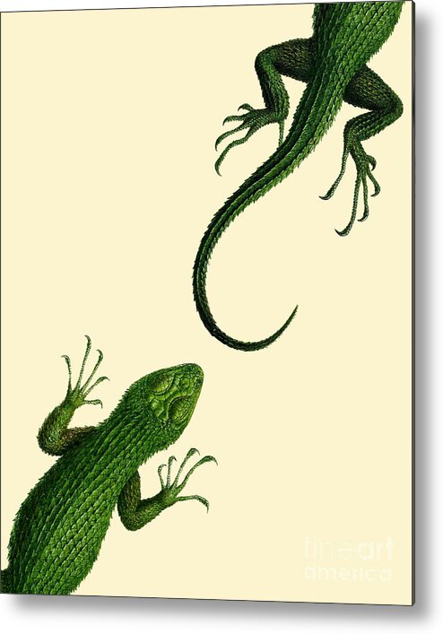 Lizard Metal Print featuring the digital art Chasing Reptiles by Madame Memento