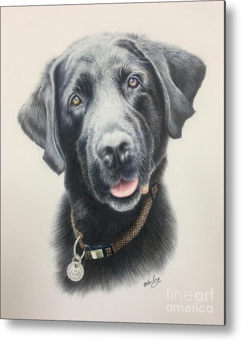 Dog Metal Print featuring the drawing Chuck by Mike Ivey