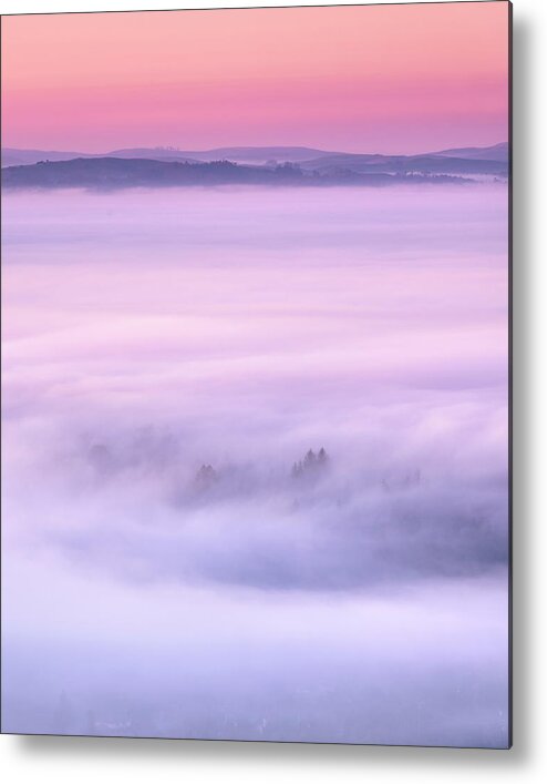 Fog Metal Print featuring the photograph City of Fog by Shelby Erickson