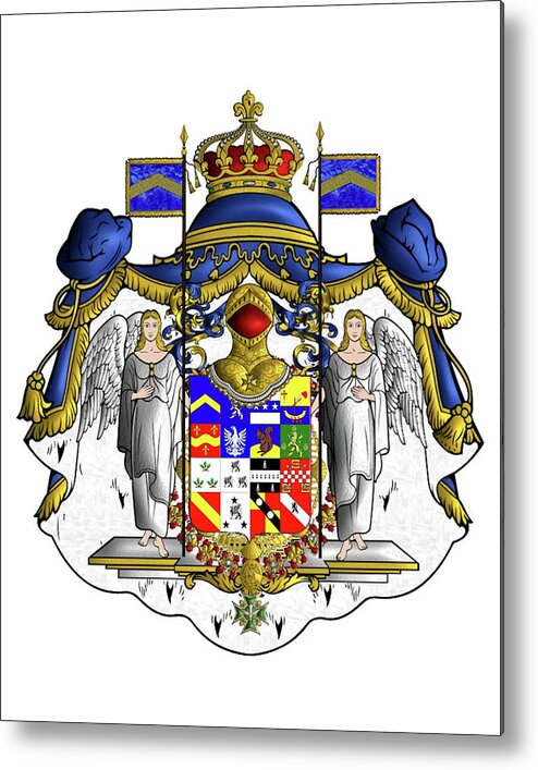 Coat Of Arms Metal Print featuring the drawing Coat of Arms by Troy Caperton