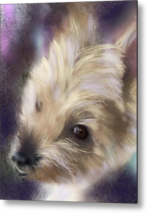 Dog Metal Print featuring the digital art Coco Chanel by Antonia Lindsey