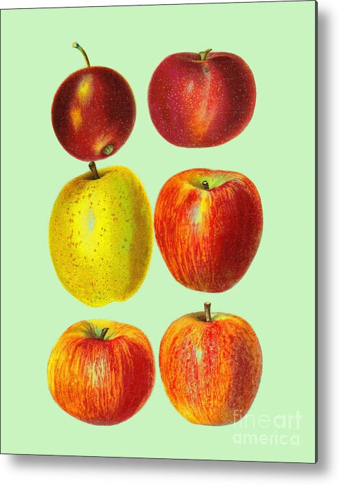 Apple Metal Print featuring the digital art Collection Of Apples by Madame Memento