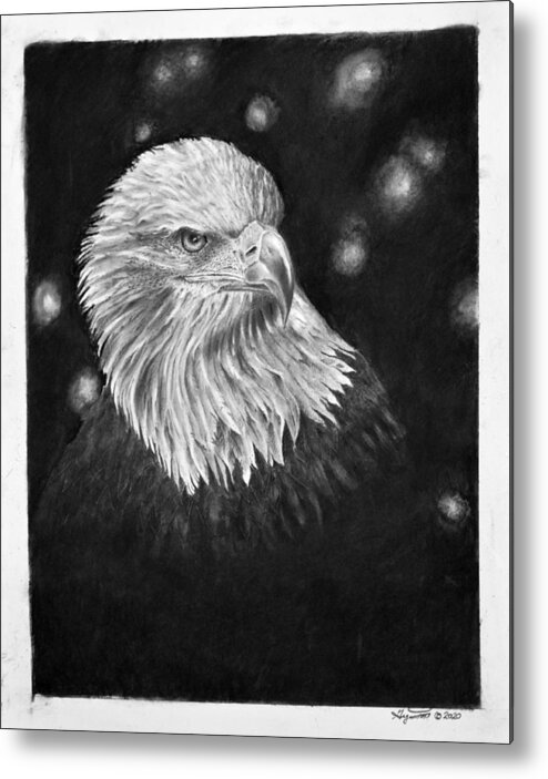 Eagle Metal Print featuring the drawing Commanding Gaze by Greg Fox