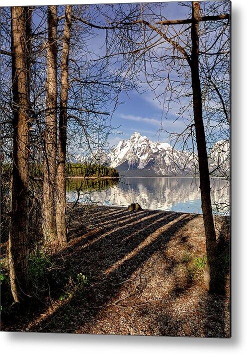 Grand Teton National Park Metal Print featuring the photograph Coulter Bay at Grand Teton National Park by Jack Bell