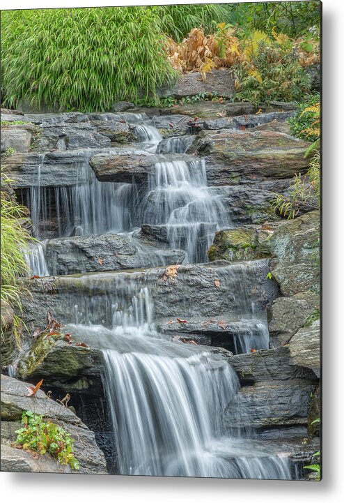 Bronx Botanical Gardens Metal Print featuring the photograph Creamy Water Fall by Cate Franklyn