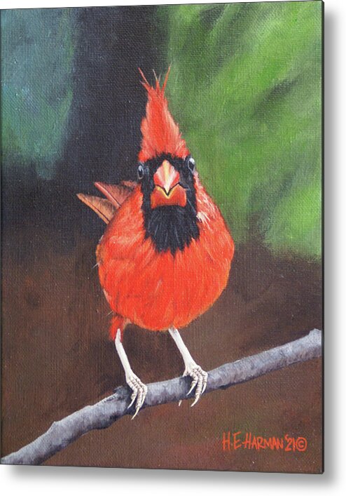 Northern Cardinal Metal Print featuring the painting Crested Messenger by Heather E Harman