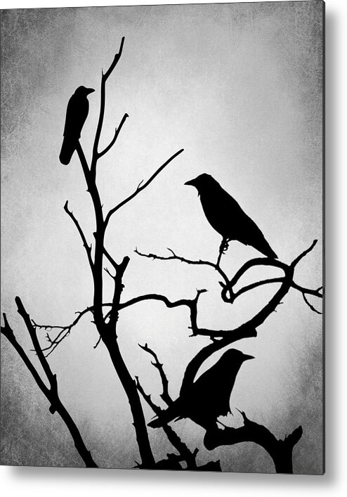 Bird Metal Print featuring the digital art Crow Birds on Trees Bird 89 by Lucie Dumas