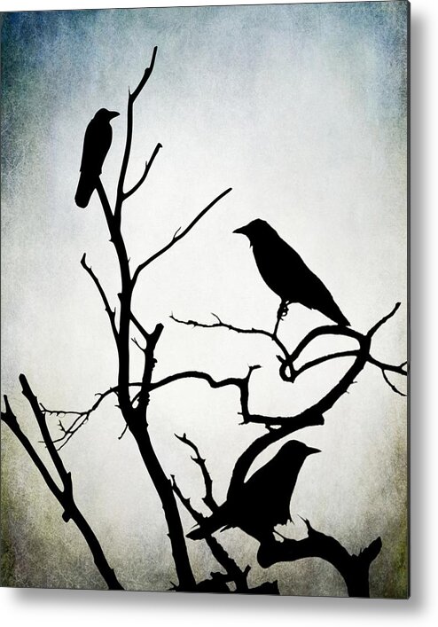 Bird Metal Print featuring the digital art Crow Birds on Trees Bird 90 by Lucie Dumas