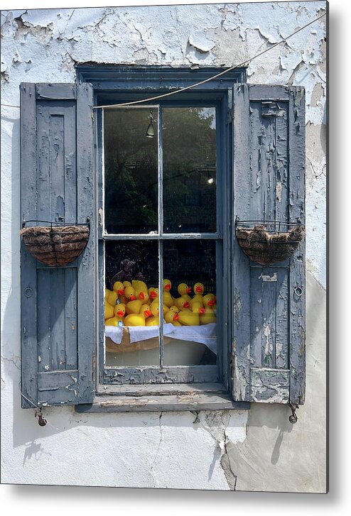 New Hope Metal Print featuring the photograph Duck Window by David Letts