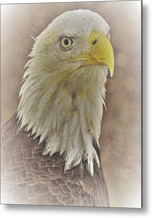 Eagle Eye Close Yellow Feathers Metal Print featuring the photograph Eagle2 by John Linnemeyer