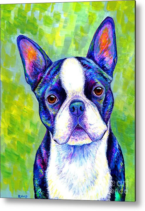 Boston Terrier Metal Print featuring the painting Effervescent - Colorful Boston Terrier Dog by Rebecca Wang
