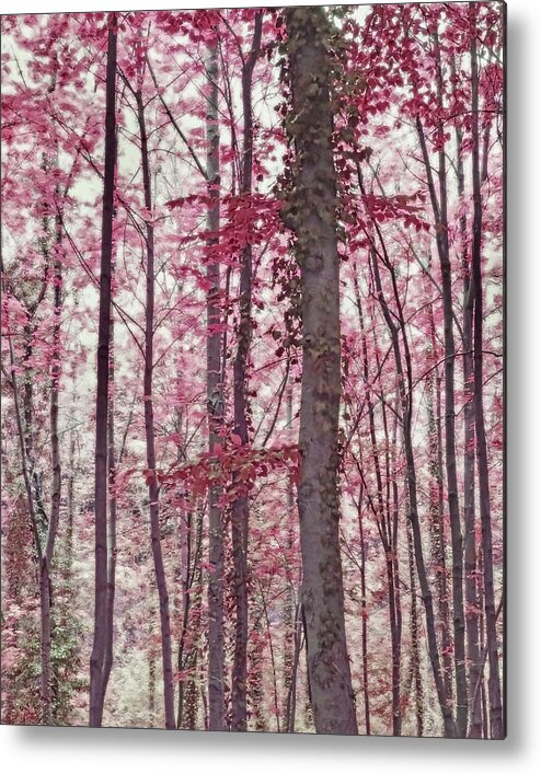 Pink Forest Metal Print featuring the photograph Ethereal Austrian Forest in Burgundy by Brooke T Ryan