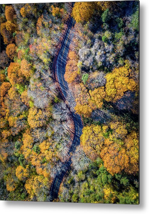 Drone Metal Print featuring the photograph Fall Road by Clinton Ward