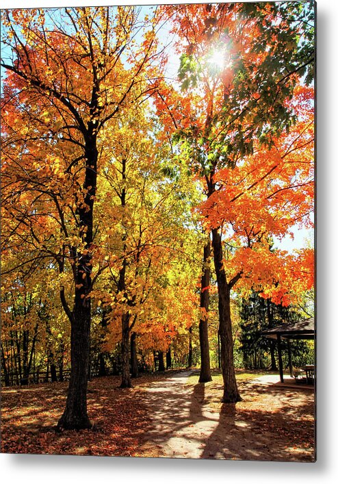 Fall Metal Print featuring the photograph Fall Walkway by Scott Olsen