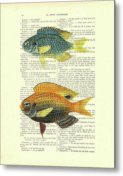 Fish Metal Print featuring the mixed media Fish species by Madame Memento