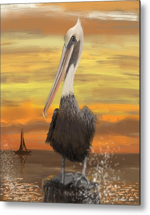 Florida Metal Print featuring the digital art Florida Pelican by Larry Whitler