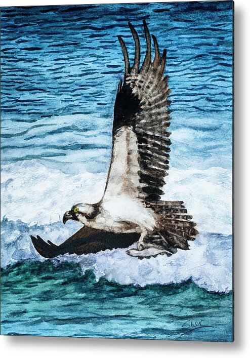 American Bald Eagles Metal Print featuring the painting Flying Home With Dinner - Watercolor Art by Sher Nasser