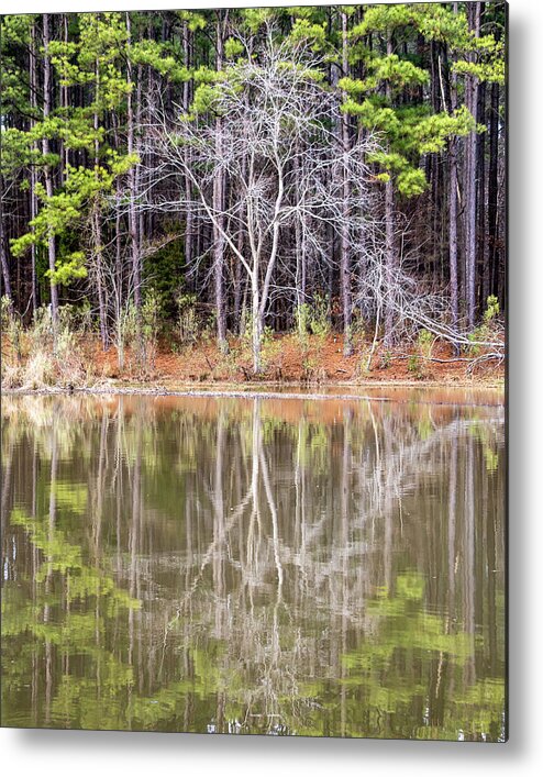 Reflection Metal Print featuring the photograph Ghost Tree Reflection by Rick Nelson