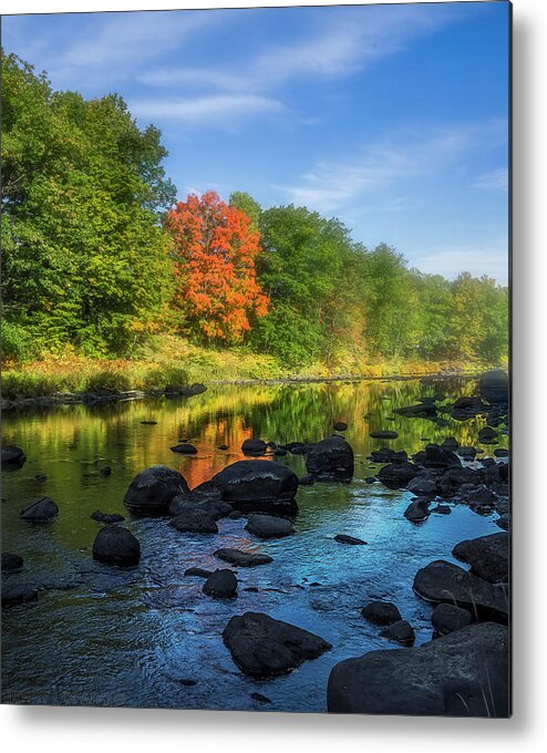 Fall Metal Print featuring the photograph Ginger by Jerry LoFaro