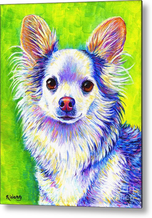 Chihuahua Metal Print featuring the painting Colorful Cute Longhaired Chihuahua Dog by Rebecca Wang