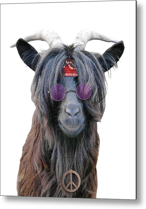 Goat Metal Print featuring the digital art Goat hippie red bandana americana by Madame Memento