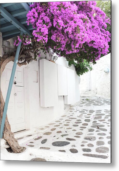 Greece Metal Print featuring the photograph Greece Flowers Two by Lupen Grainne