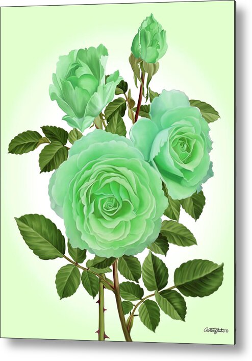 Green Metal Print featuring the mixed media Green Roses by Anthony Seeker