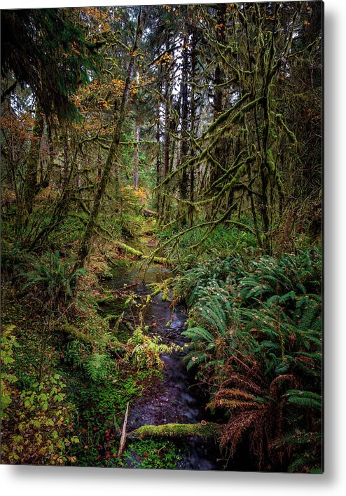 Taft Creek Metal Print featuring the photograph Hoh 315 by Mike Penney